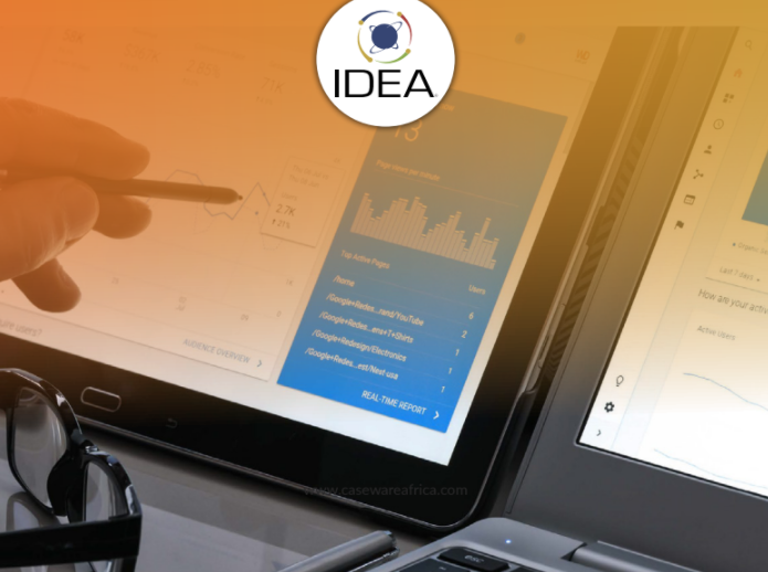 Powerful Data Analytics with CaseWare IDEA®